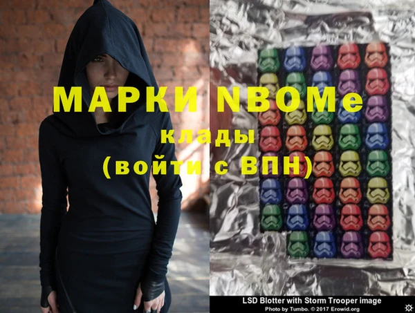 шишки Арсеньев