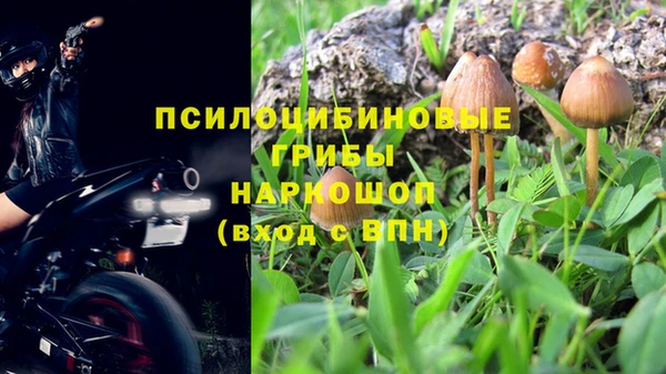 винт Аркадак