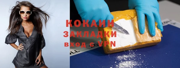 шишки Арсеньев