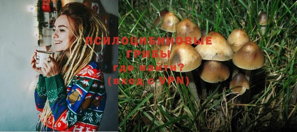 шишки Арсеньев