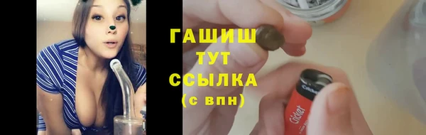 шишки Арсеньев