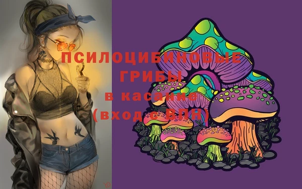винт Аркадак