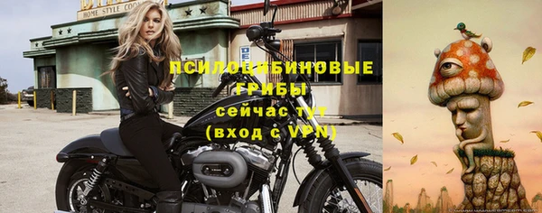 шишки Арсеньев
