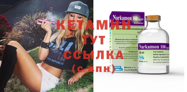 шишки Арсеньев