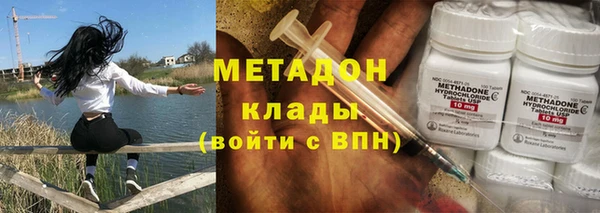 шишки Арсеньев