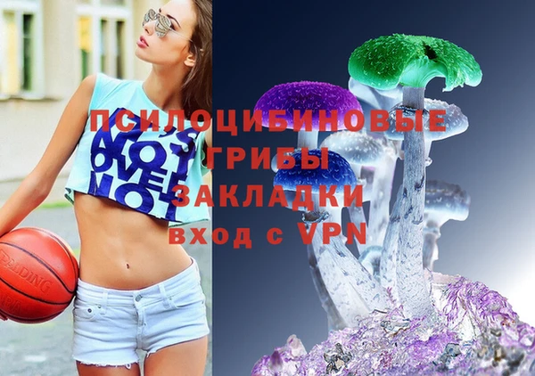 2c-b Алзамай