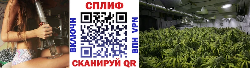 Марихуана White Widow  гидра ONION  Курган 
